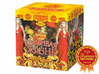 Красивая жизнь Фейерверк купить в Менделеевске | mendeleevsk.salutsklad.ru