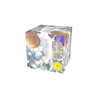 Новогодняя ночь Салют купить в Менделеевске | mendeleevsk.salutsklad.ru