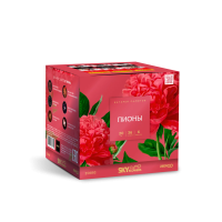 Пионы Салют купить в Менделеевске | mendeleevsk.salutsklad.ru