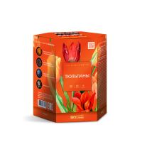 Тюльпаны Салют купить в Менделеевске | mendeleevsk.salutsklad.ru