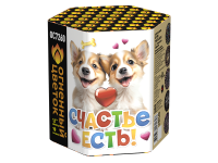 Счастье есть! Салют купить в Менделеевске | mendeleevsk.salutsklad.ru