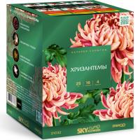 Хризантемы Фейерверк купить в Менделеевске | mendeleevsk.salutsklad.ru