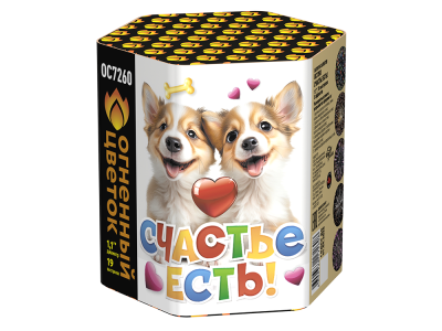 Счастье есть! Салют купить в Менделеевске | mendeleevsk.salutsklad.ru